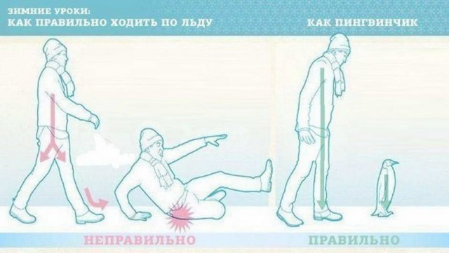 Юмор в картинках 11.12.20