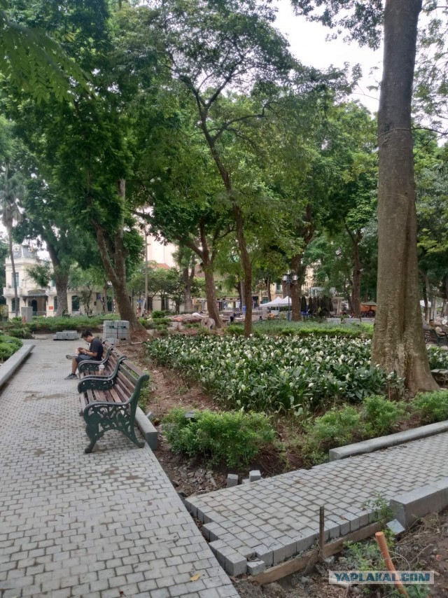 Женат во Вьетнаме