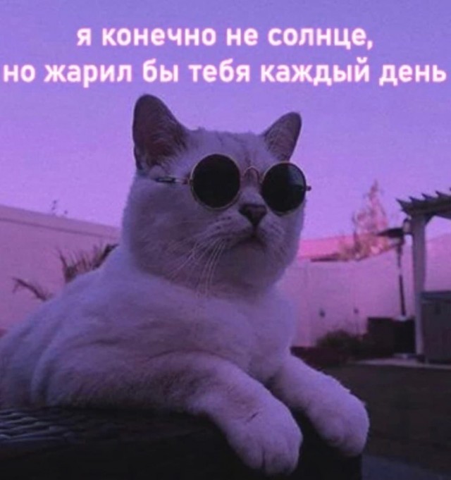 Боянистые и не очень картиночки с тупым йумором