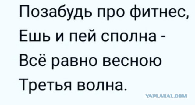 Бредзона 20.01.2021