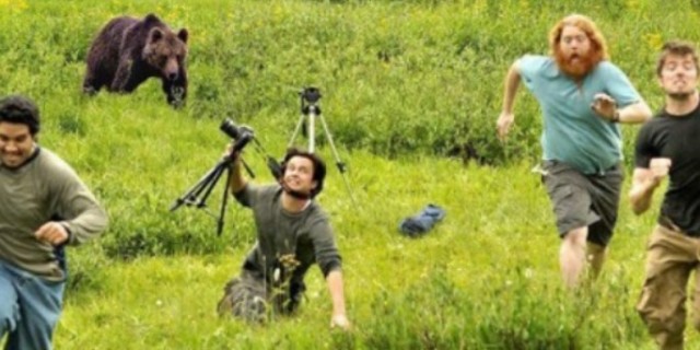 Пост шедевральной милоты: как любопытные животные мешают фотографам