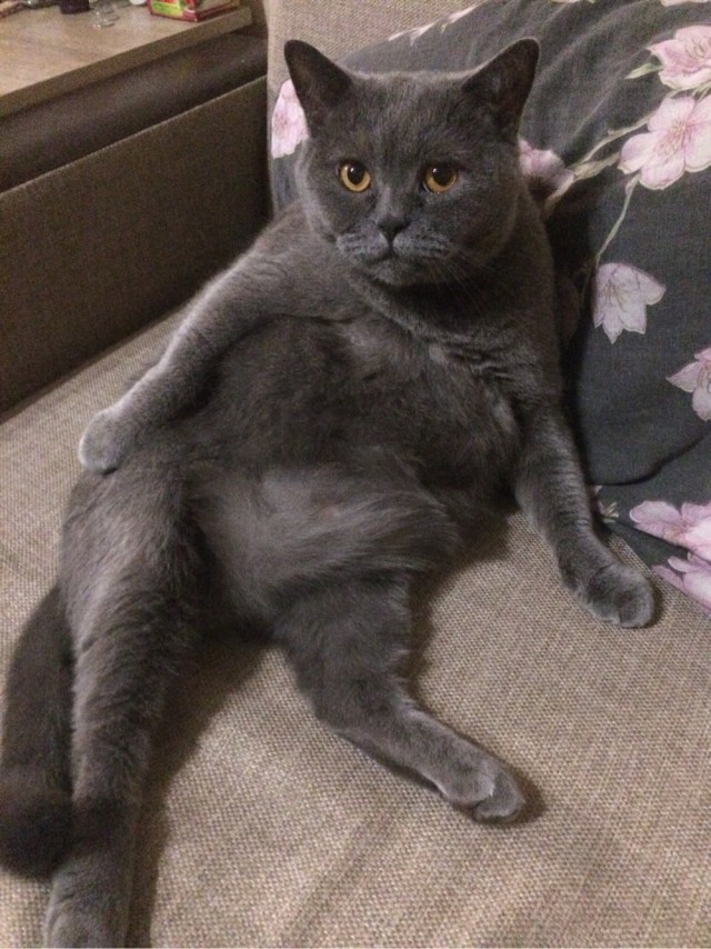 Нас и здесь не плохо кормят