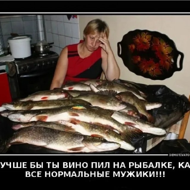 Маслята пошли