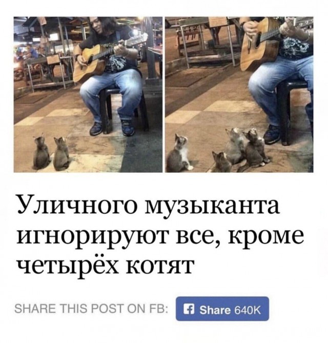 Птички-невелички, налетай