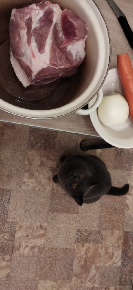 Вторник. Котэ. Пора