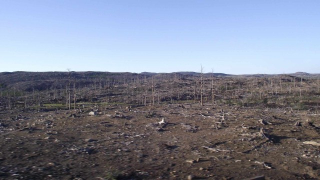 Ты узнаешь, что напрасно называют север крайним...