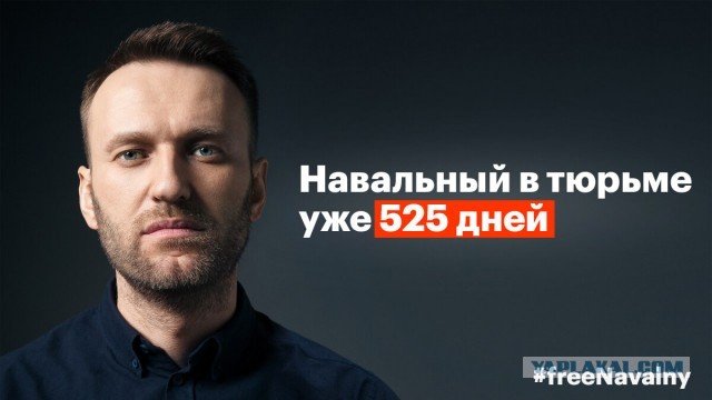 Как начинался и развивался конфликт между участниками движения СтопХам и бойцами спецподразделения Гром.