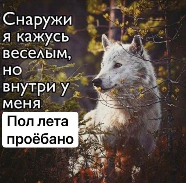 Картинки и мемы для настроения - 19
