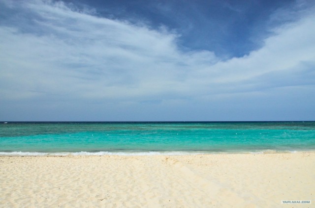 Путешествие по Северной Америке