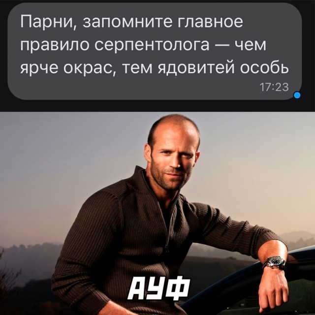Картинки и мемы для настроения. Выходные рядышком...