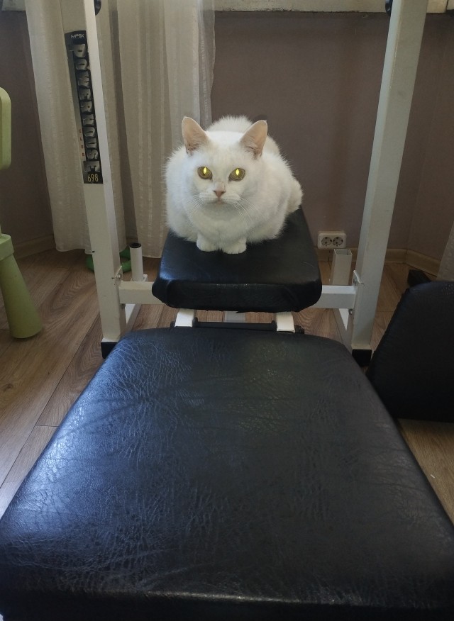 Купил полчаса назад