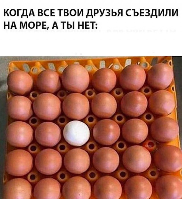 Картинки и мемы для настроения - 11