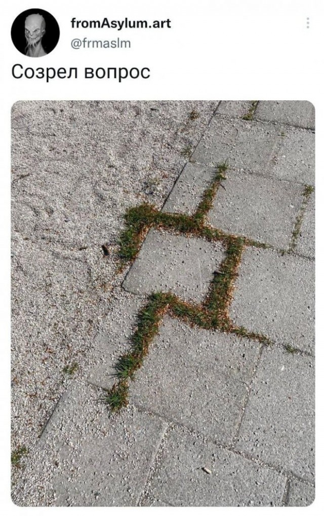 Созрел вопрос огурец