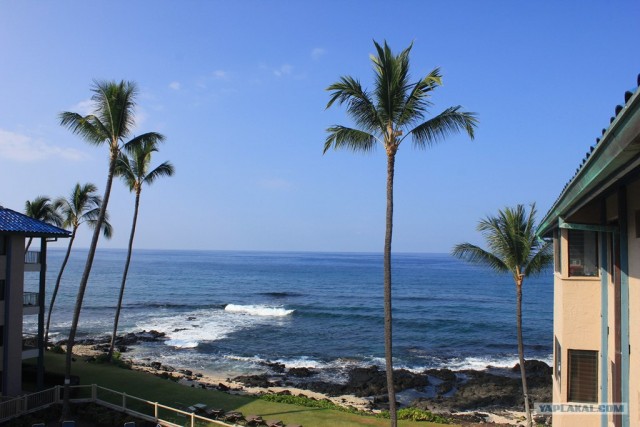 Путешествие на Гавайи