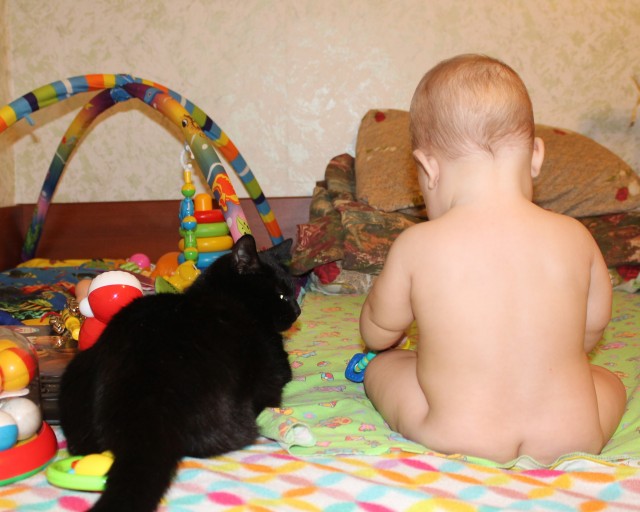 Растем с котом