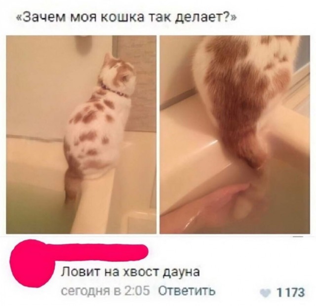 Прикольные и просто красивые картинки 18.11.2022