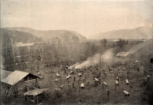 Сибирские казаки на службе и дома. Альбом 1911 года