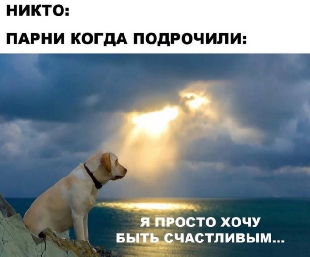 Немного мемчиков. Для взрослых. Часть 26