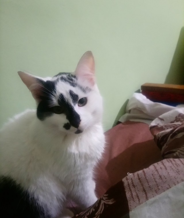 А может, это судьба?