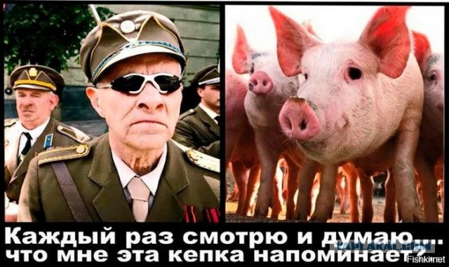Сборная США не выступит на мужском и женском чемпионатах мира из-за допуска россиян и белорусов