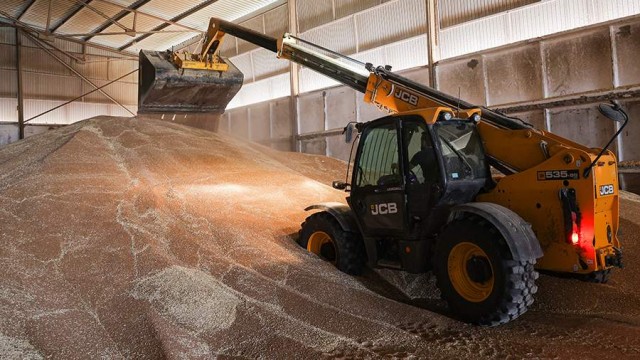 Глава МИД ФРГ Анналена Бербок заявила о блокировке 32 млн т зерна на Украине