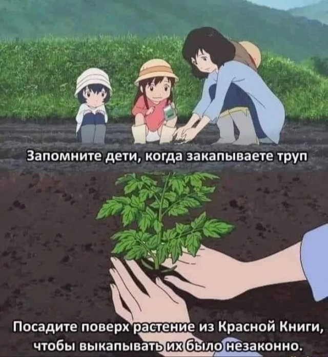 Всего понемногу. От 05.08