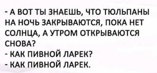 Весёлый полтишок 26.10.23