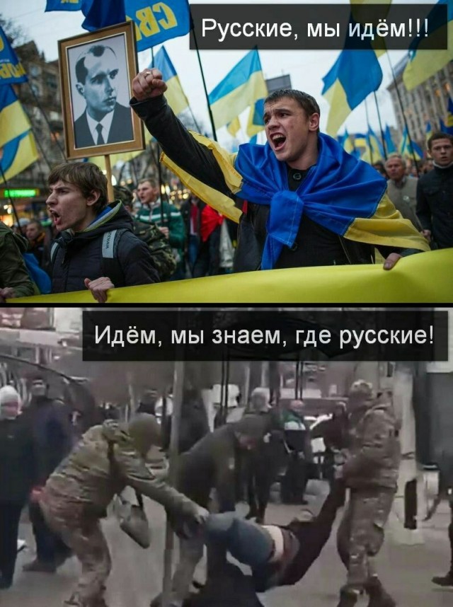 Арестович предложил украинцам вместе с россиянами подать иск к коллективному Западу