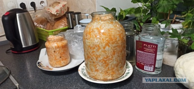 Квашеная капуста