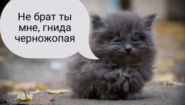 Брат.