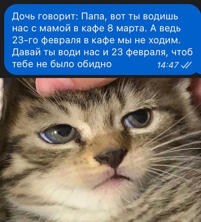 Так себе картинки 16.02.24