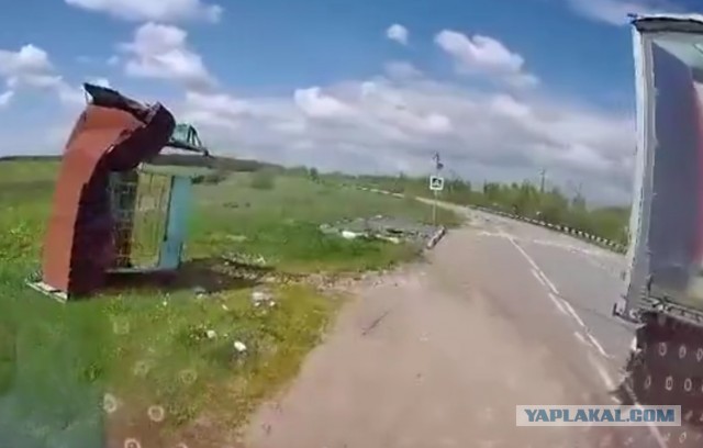 Профессионально организованный погром
