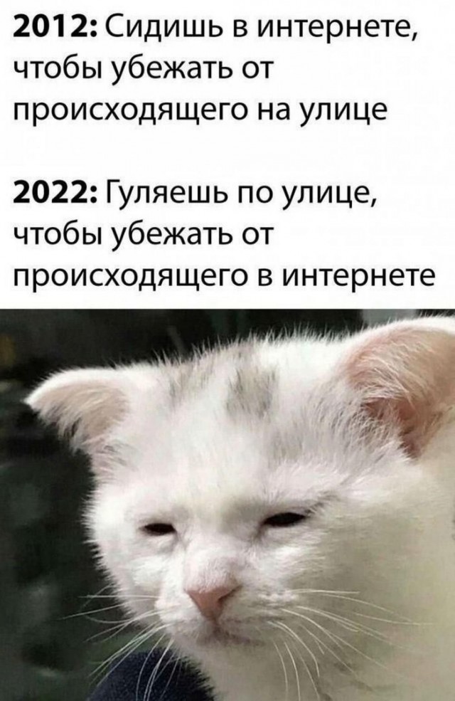 Никакие картинки