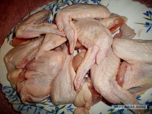 Крылинные курья