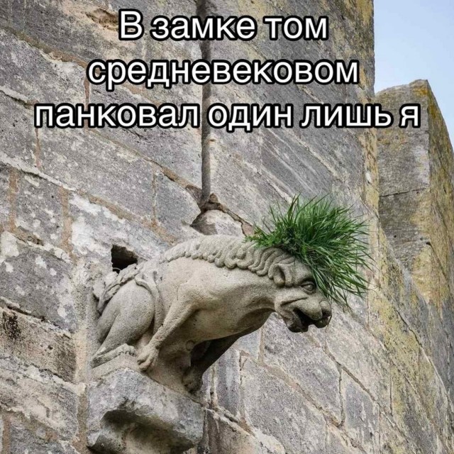 Завалялось тут случайно немного забавных картинок