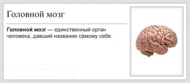 Выбросивший из окна жену с годовалым ребёнком Александр Липатов сошёл с ума из-за постоянного стресса на работе и размышлений о том, как систематизировать свои мысли и свою жизнь.