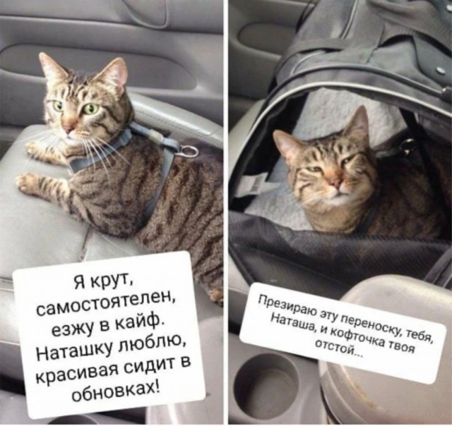 Завалялось тут случайно немного забавных картинок