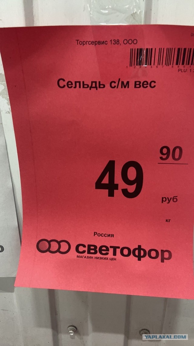 Рыба в магазинах недоступна для большой части россиян, заявила Валентина Матвиенко.