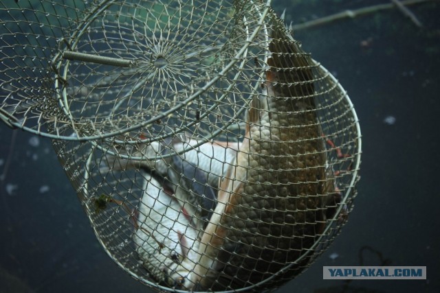 В дали от городской суеты