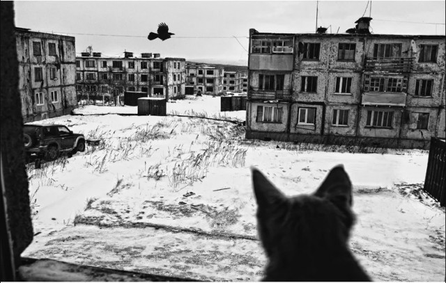 А что у вас за окном?
