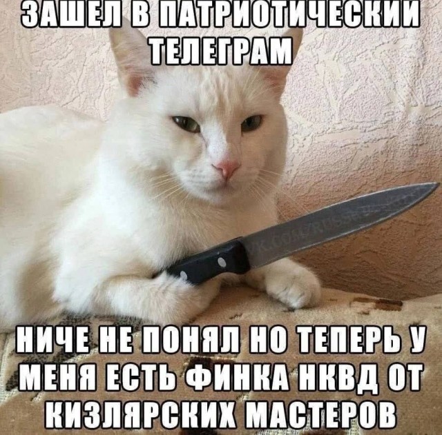 35 картинок от соседа Петросяна