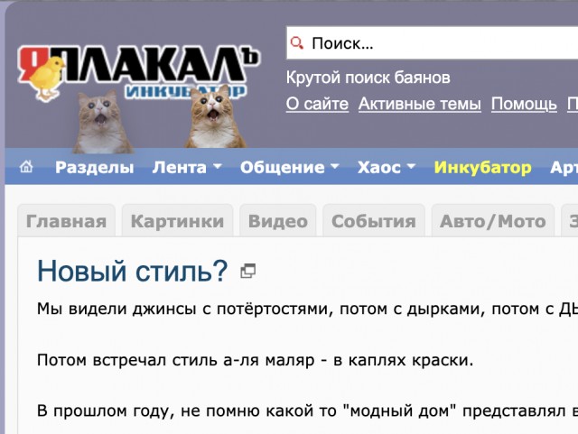 Я поймал этого кота