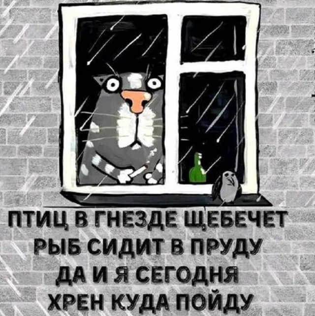 Так себе картинки 26.02.25