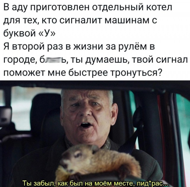 Так себе картинки 24.03.25