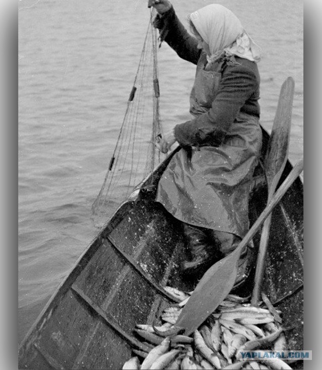 Ностальгия по работящим женщинам