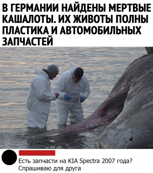 Картинки для деградации 12 (разной степени свежести)