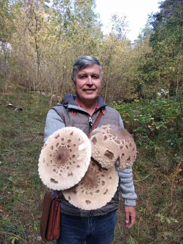 Нижняя сторона рассвета