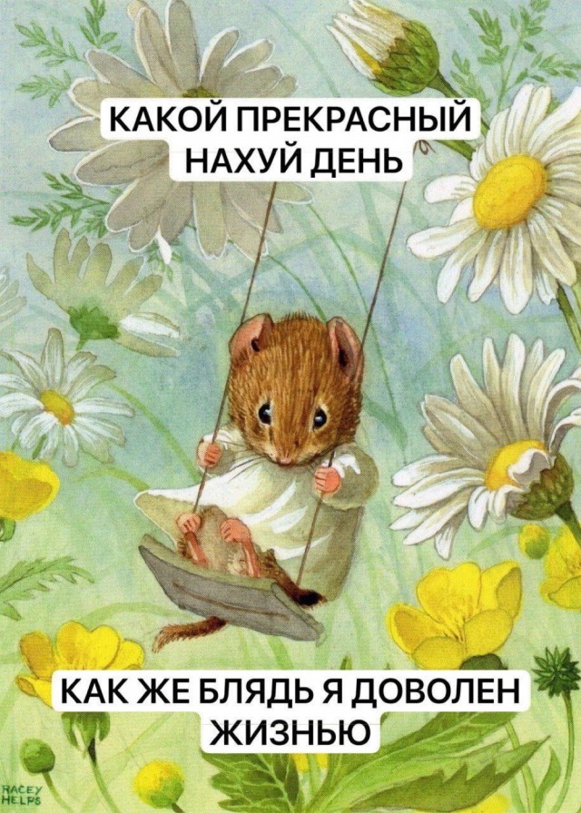 Так себе картинки 14.09.25