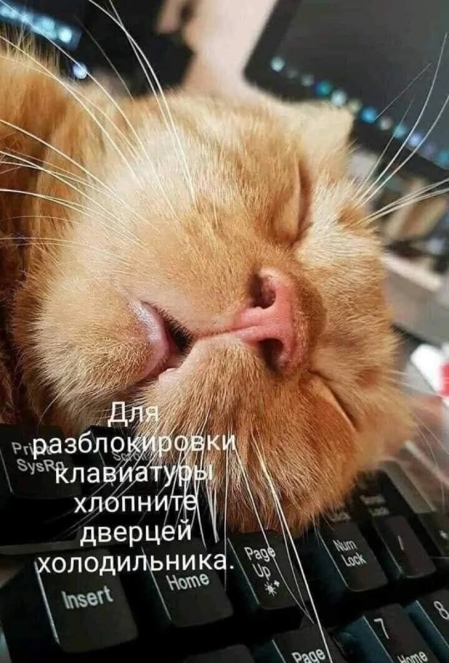 Картинок немного в среду утром