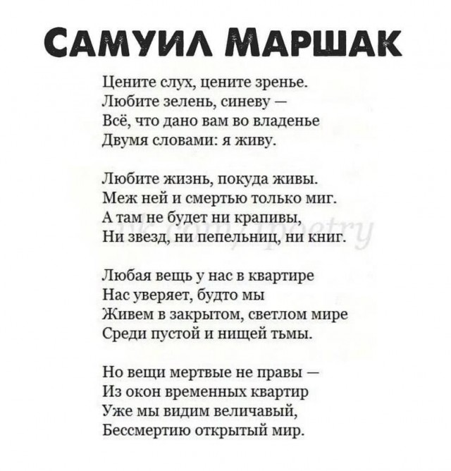 Прикольные и просто красивые картинки 07.11.2025